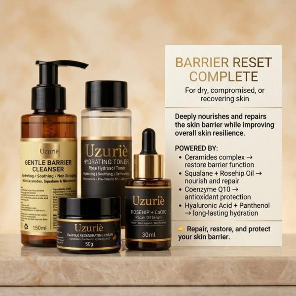 Barrier Repair Complete Set